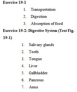 Answer Sheet Chapter 19